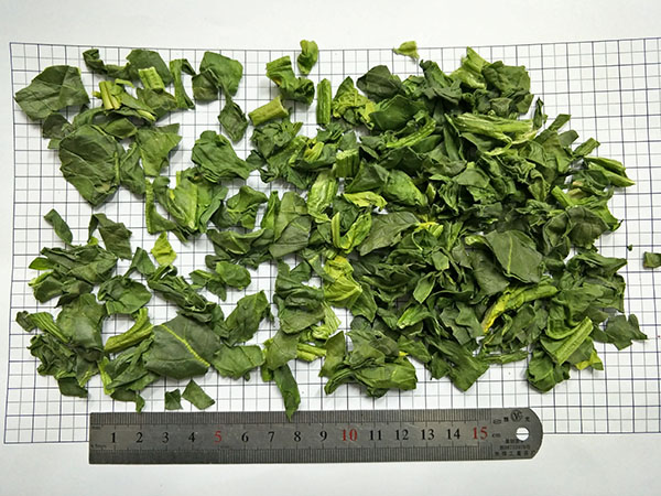 FD Spinach 1 iniha