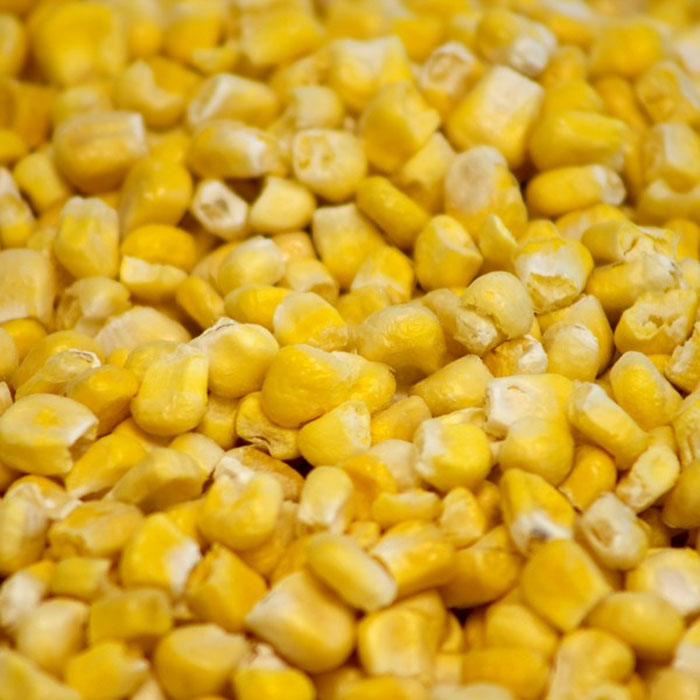 FD Sweet Corn, whole kernel